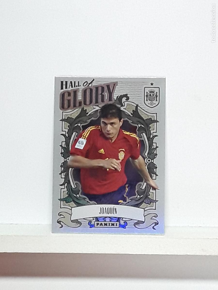 Cromos de f&uacute;tbol: TRIBUTO ESPA&Ntilde;A 2010 2026 VAMOS CAMPEONE 10 26 ALBUM PANINI SELECCION ESPA&Ntilde;OLA N HG10 HG 10 JOAQUIN