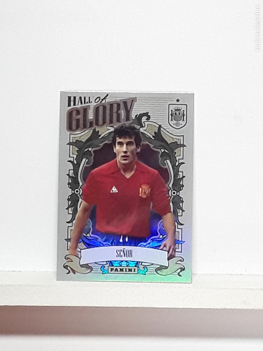 Cromos de f&uacute;tbol: TRIBUTO ESPA&Ntilde;A 2010 2026 VAMOS CAMPEONES 10 26 ALBUM PANINI SELECCION ESPA&Ntilde;OLA N HG17 HG 17 SE&Ntilde;OR