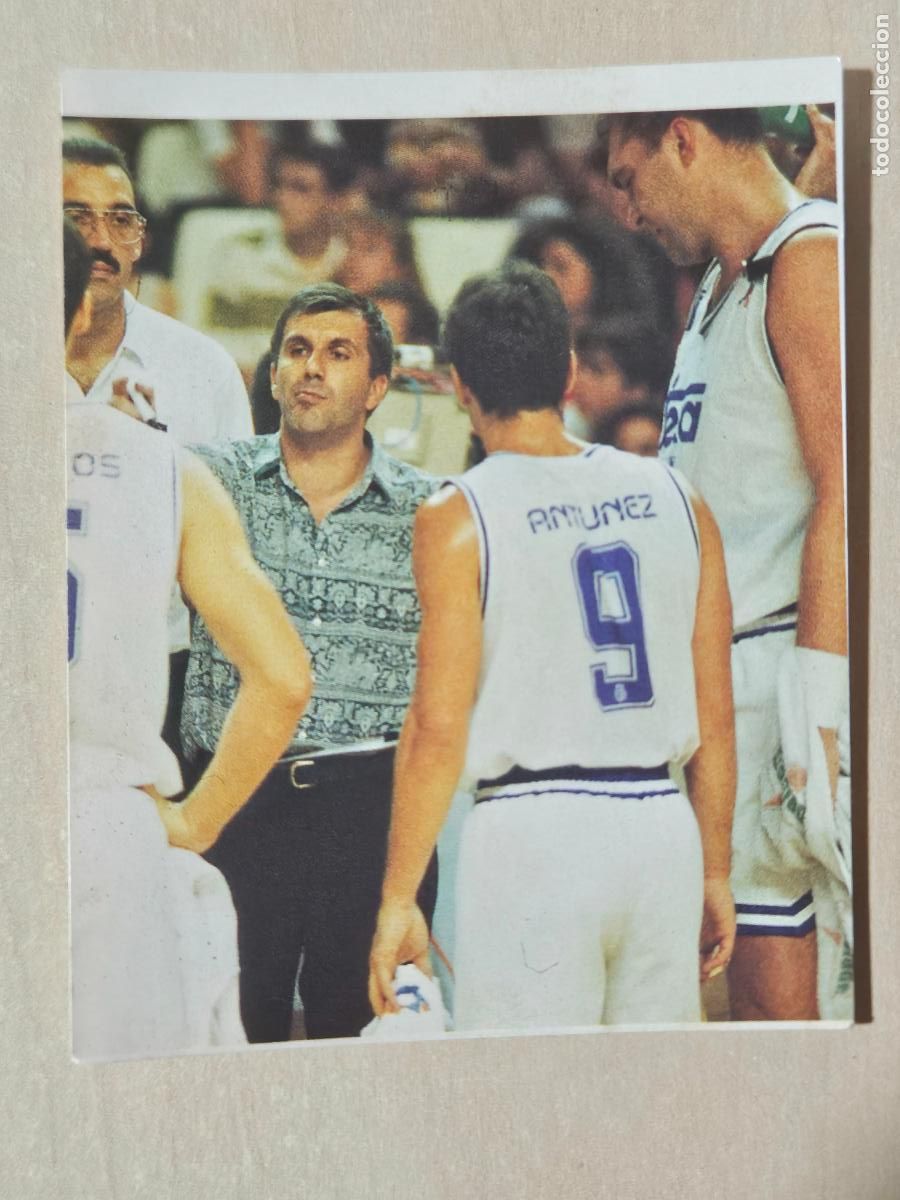 Football Stickers: CROMO N&ordm; 247 DEL ALBUM REAL MADRID FUTBOL Y BALONCESTO 1994 1995 - NUNCA PEGADO