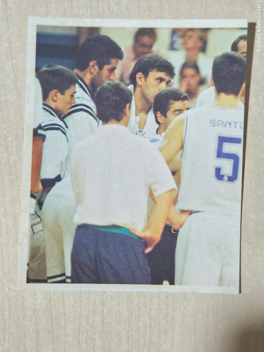 Football Stickers: CROMO N&ordm; 246 DEL ALBUM REAL MADRID FUTBOL Y BALONCESTO 1994 1995 - NUNCA PEGADO