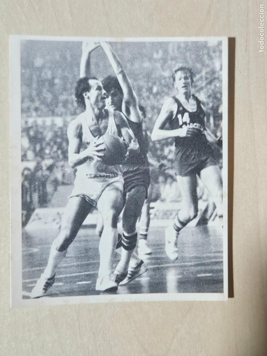 Football Stickers: CROMO N&ordm; 234 DEL ALBUM REAL MADRID FUTBOL Y BALONCESTO 1994 1995 - NUNCA PEGADO