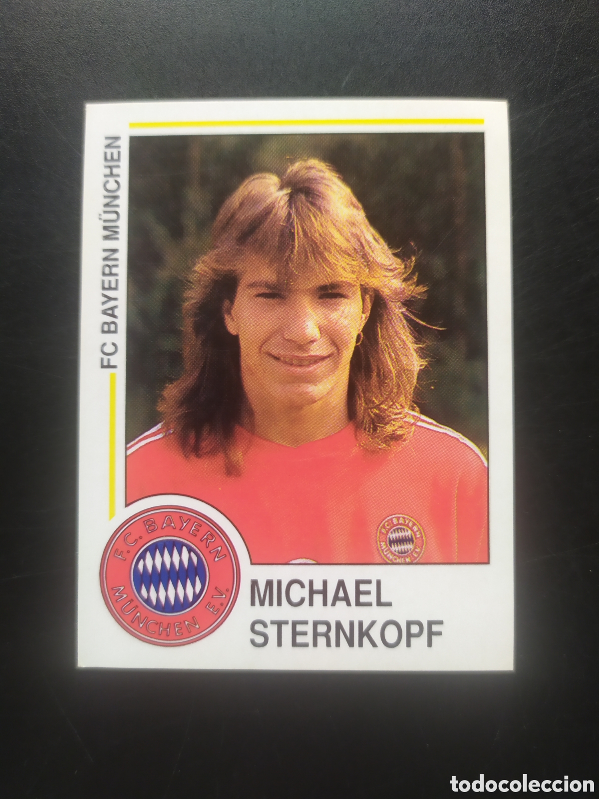 Fu&szlig;ball-Sticker: Fussball 91 panini Sternkopf n&deg; 221 Bayern Munich