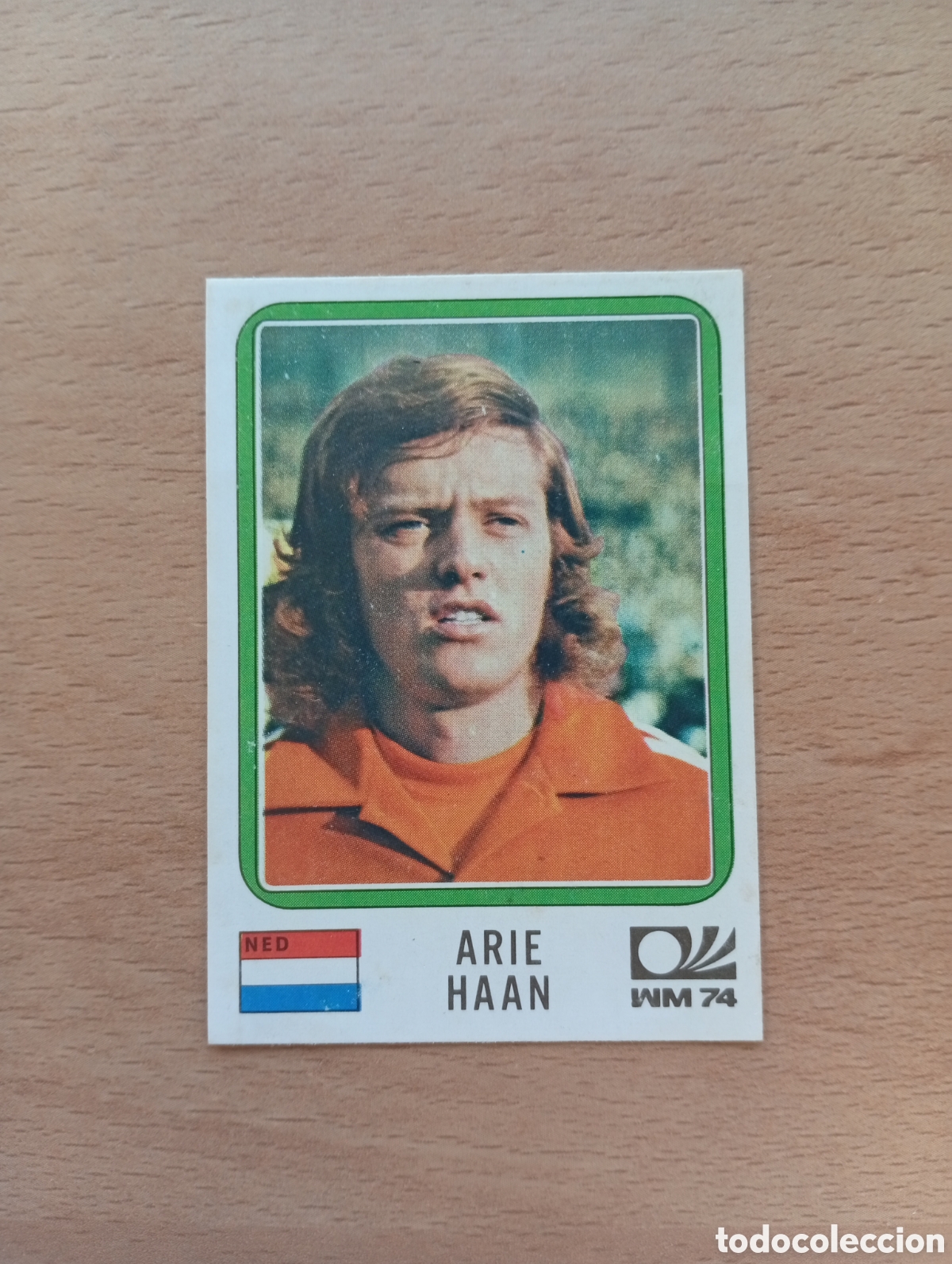 Football Stickers: MUNICH 74 - N&ordm; 242 ARIE HAAN - HOLANDA - PANINI - CAMPEONATO MUNDIAL DE FUTBOL 1974