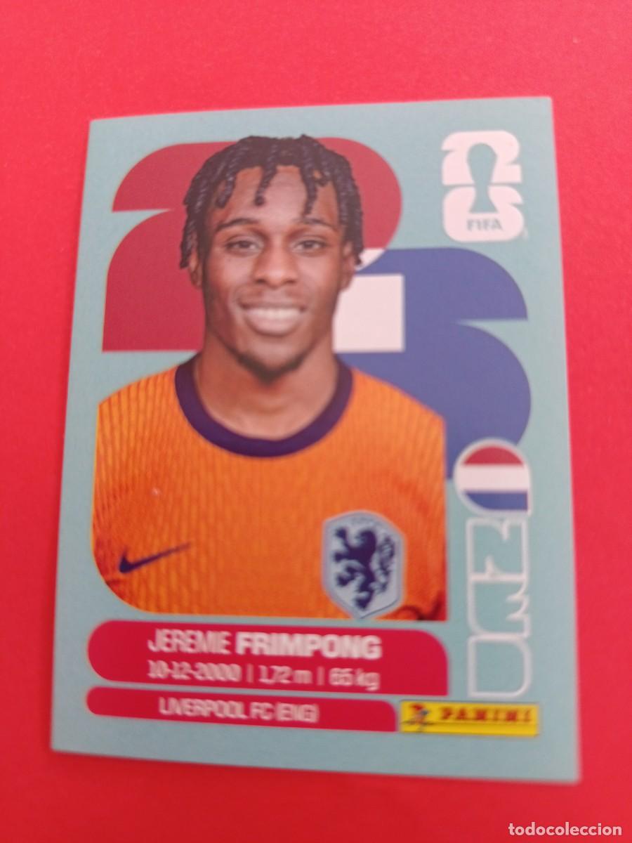 Figurine di Calcio: CROMO MUNDIAL 2026 - HOLANDA NED 8