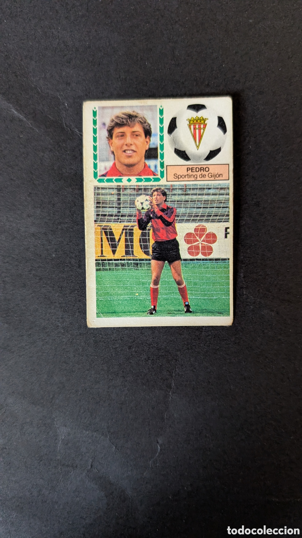 Figurine di Calcio: PEDRO SPORTING GIJON FICHAJE 36 LIGA ESTE 1983/84 83 84 NUNCA PEGADO CON SIGNOS DE DESGASTE