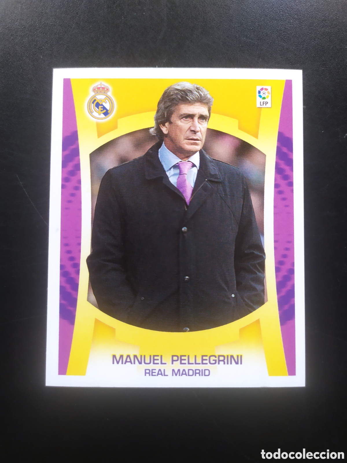 Figurine di Calcio: Liga este 2009 2010 09 10 panini Pellegrini Real Madrid