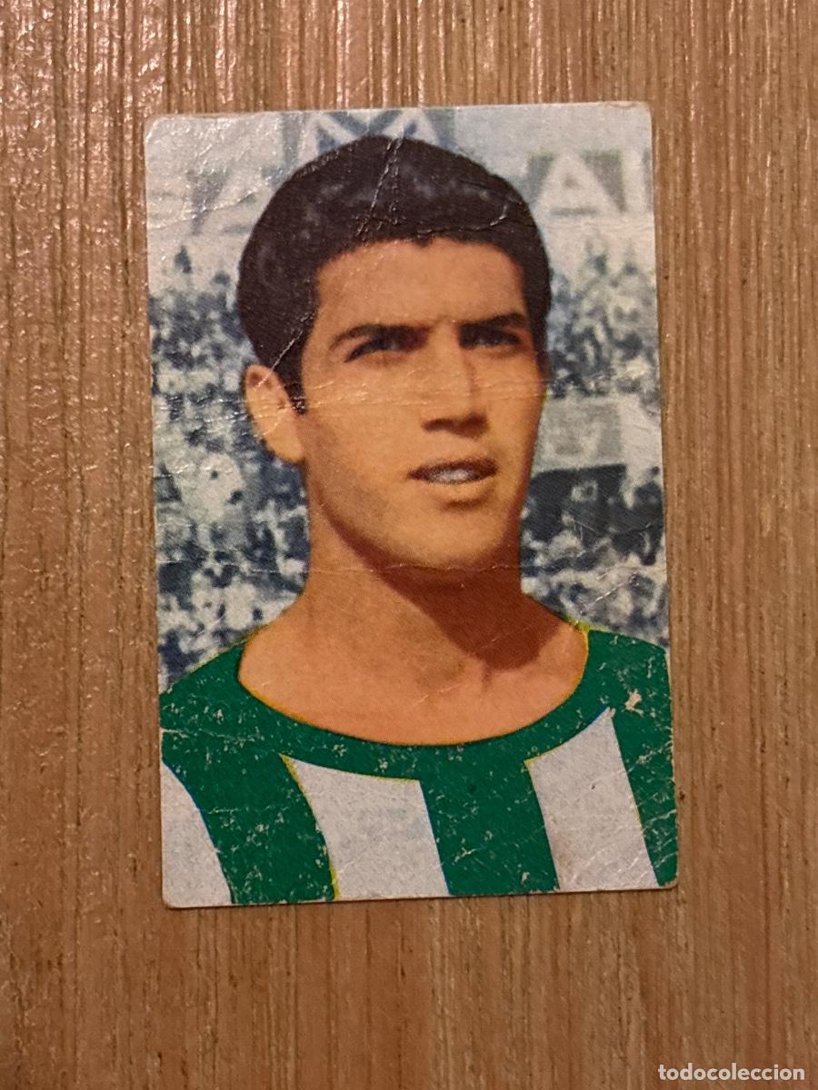 Cromos de Futebol: 44. CROMO REAL BETIS N 244 ROGELIO DESPEGADO EDITORIAL RUIZ ROMERO 1967-68 67-68