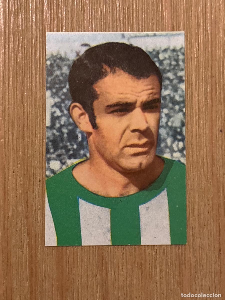 Cartes &agrave; collectionner de Football: 44. CROMO REAL BETIS N 238 ANT&Oacute;N DESPEGADO EDITORIAL RUIZ ROMERO 1967-68 67-68