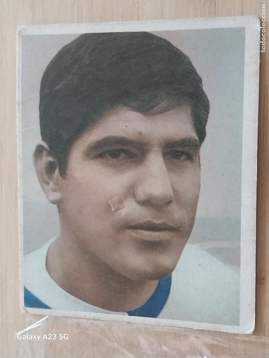 Cromos de f&uacute;tbol: SEMINARIO SABADELL CAMPEONES BRUGUERA 1968 68 69 CROMO 229 ORIGINAL SIN PEGAR NUNCA