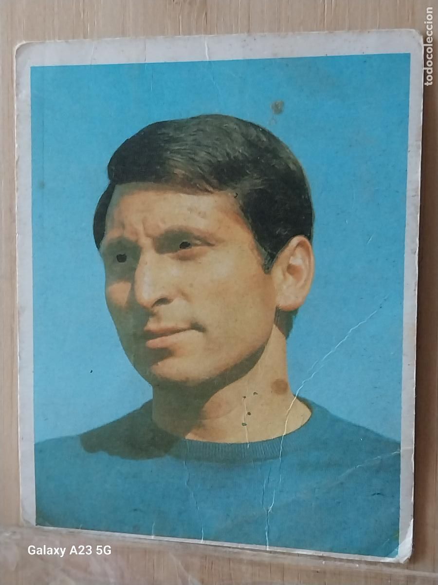 Cromos de f&uacute;tbol: CELDRAN PONTEVEDRA CAMPEONES BRUGUERA 1968 68 69 CROMO 219 ORIGINAL SIN PEGAR NUNCA