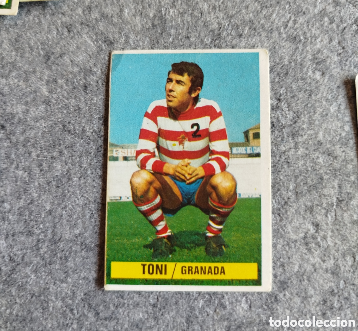 Cromos de f&uacute;tbol: DESPEGADO TONI GRANADA 74 75 1974 1975 EDICIONES ESTE CROMO