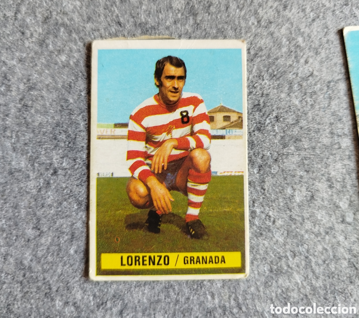 Cromos de f&uacute;tbol: DESPEGADO LORENZO GRANADA 74 75 1974 1975 EDICIONES ESTE CROMO