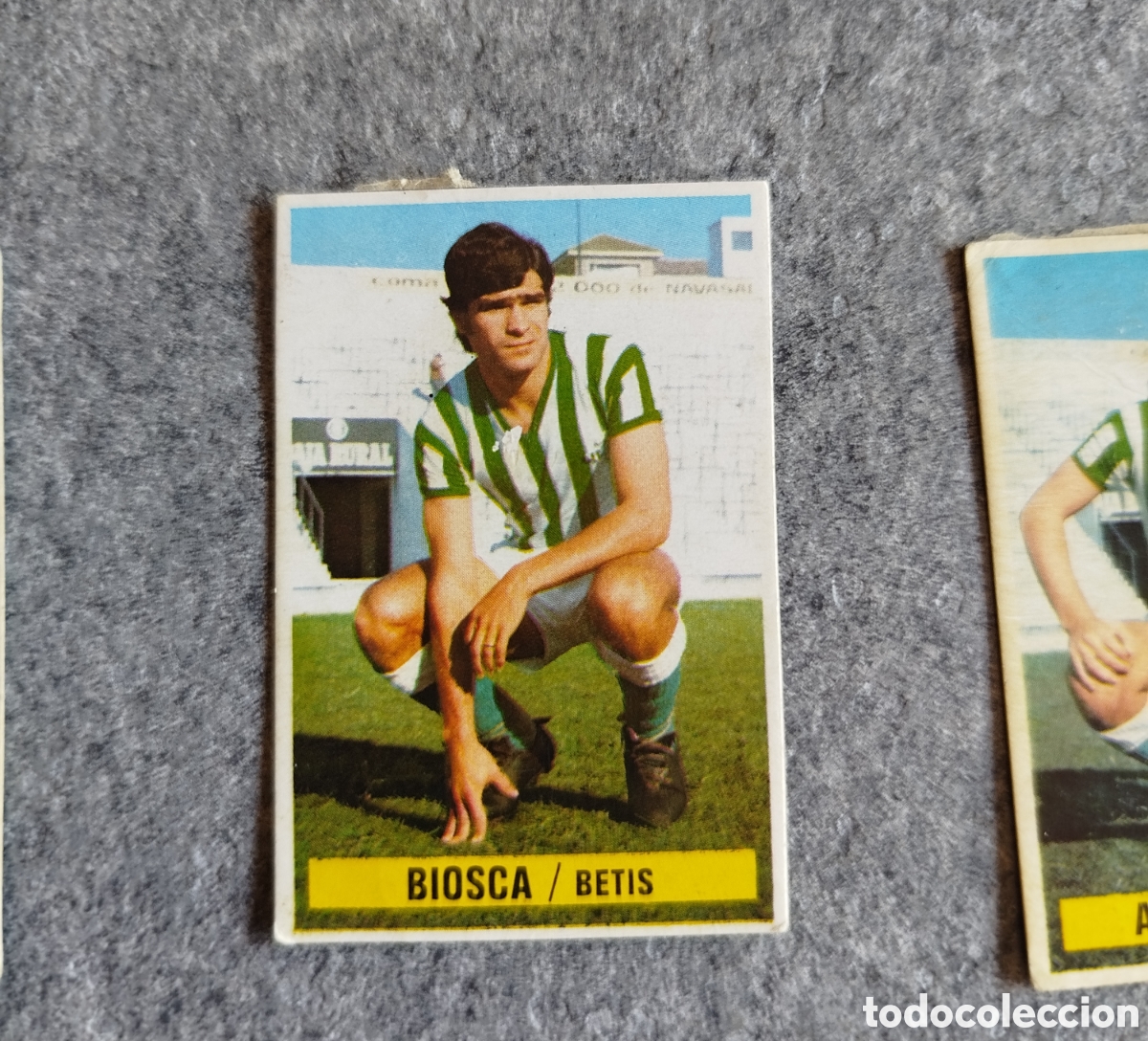 Cromos de f&uacute;tbol: DESPEGADO BIOSCA BETIS 74 75 1974 1975 EDICIONES ESTE CROMO