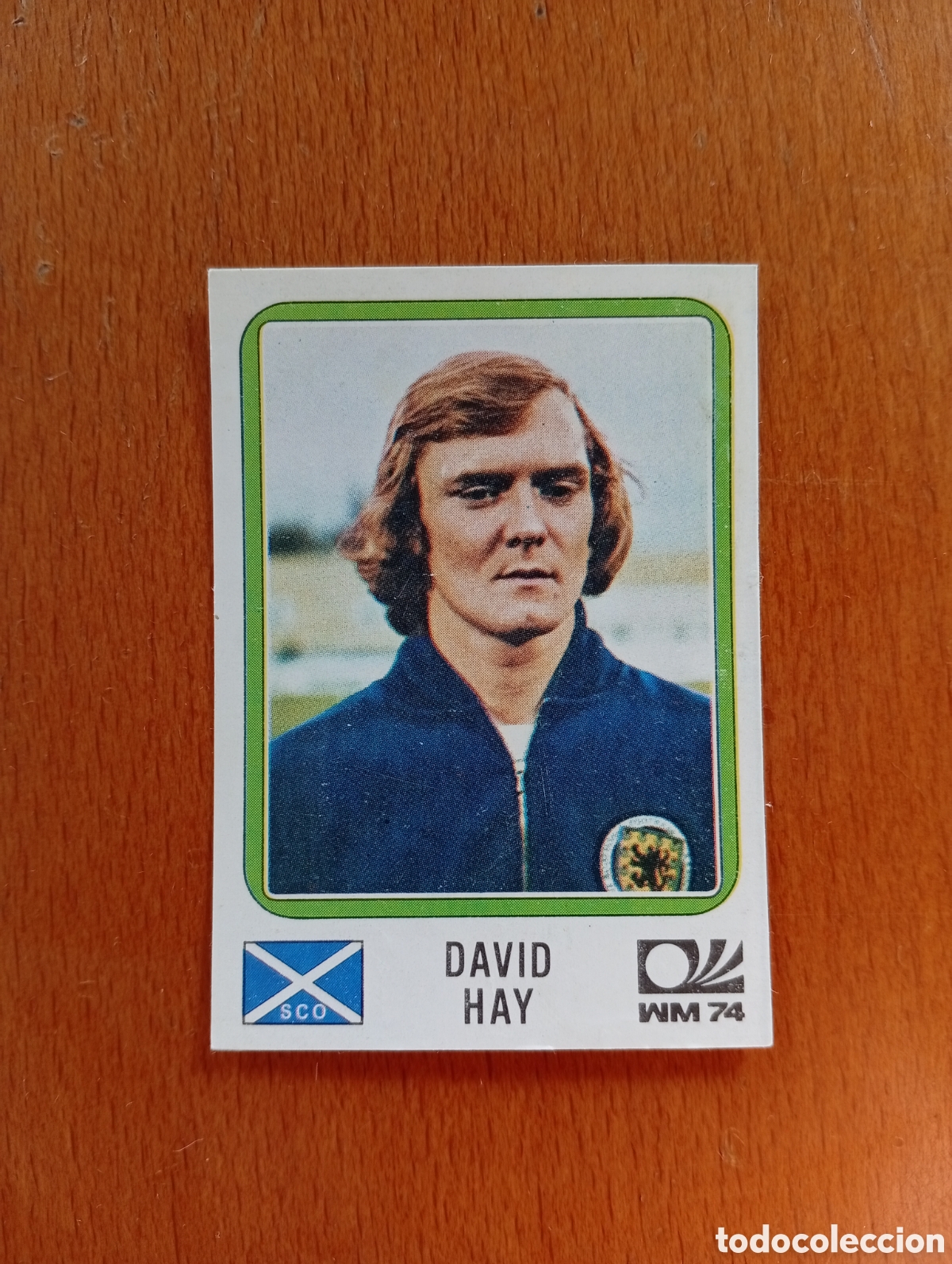 Cromos de f&uacute;tbol: MUNICH 74 - N&ordm; 207 DAVID HAY - ESCOCIA - CAMPEONATO MUNDIAL DE FUTBOL 1974