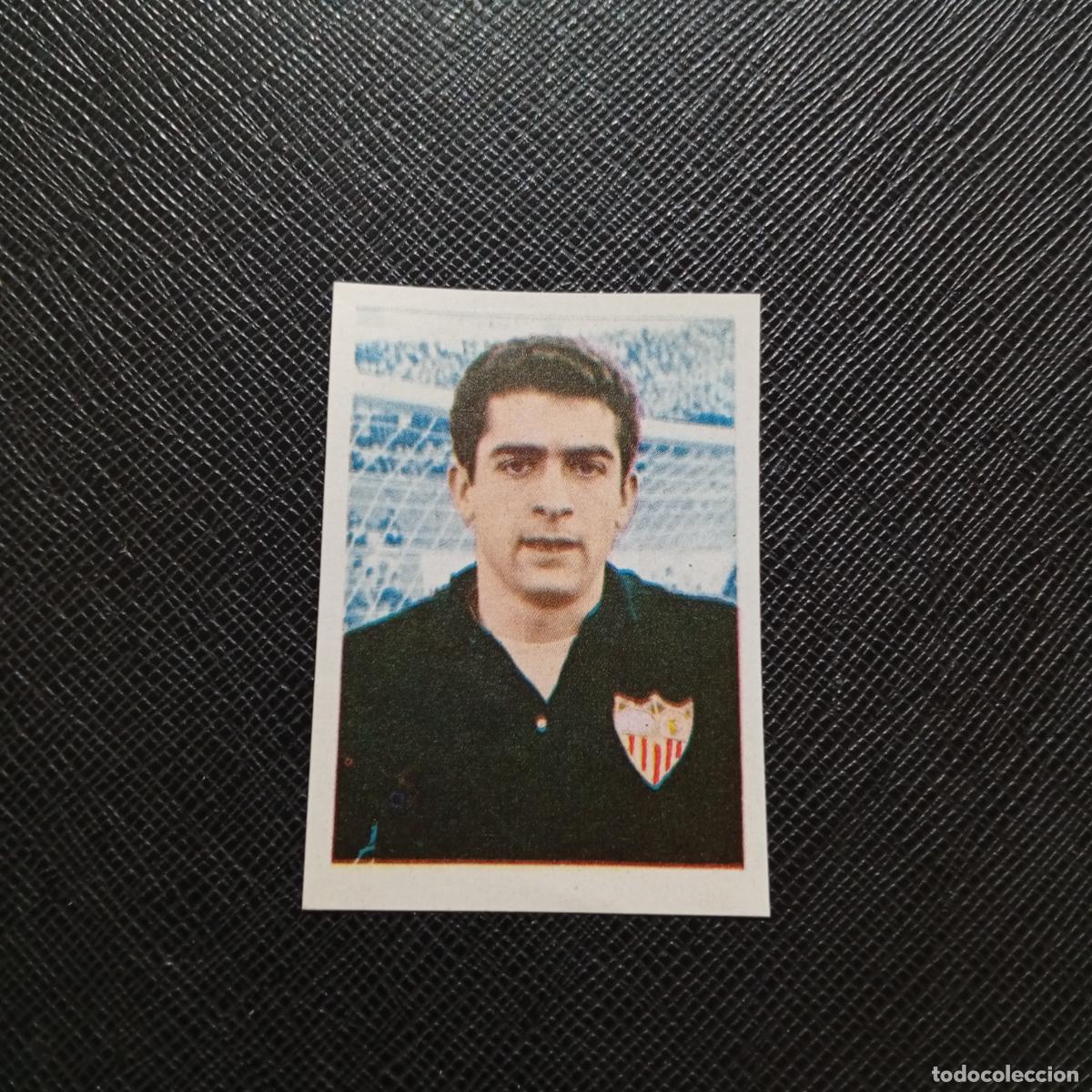Cromos de Futebol: 176 MOLINA SEVILLA RUIZ ROMERO TORNEOS CONTINENTALES 1966 1967 66 67 - SIN PEGAR - A28 PG524