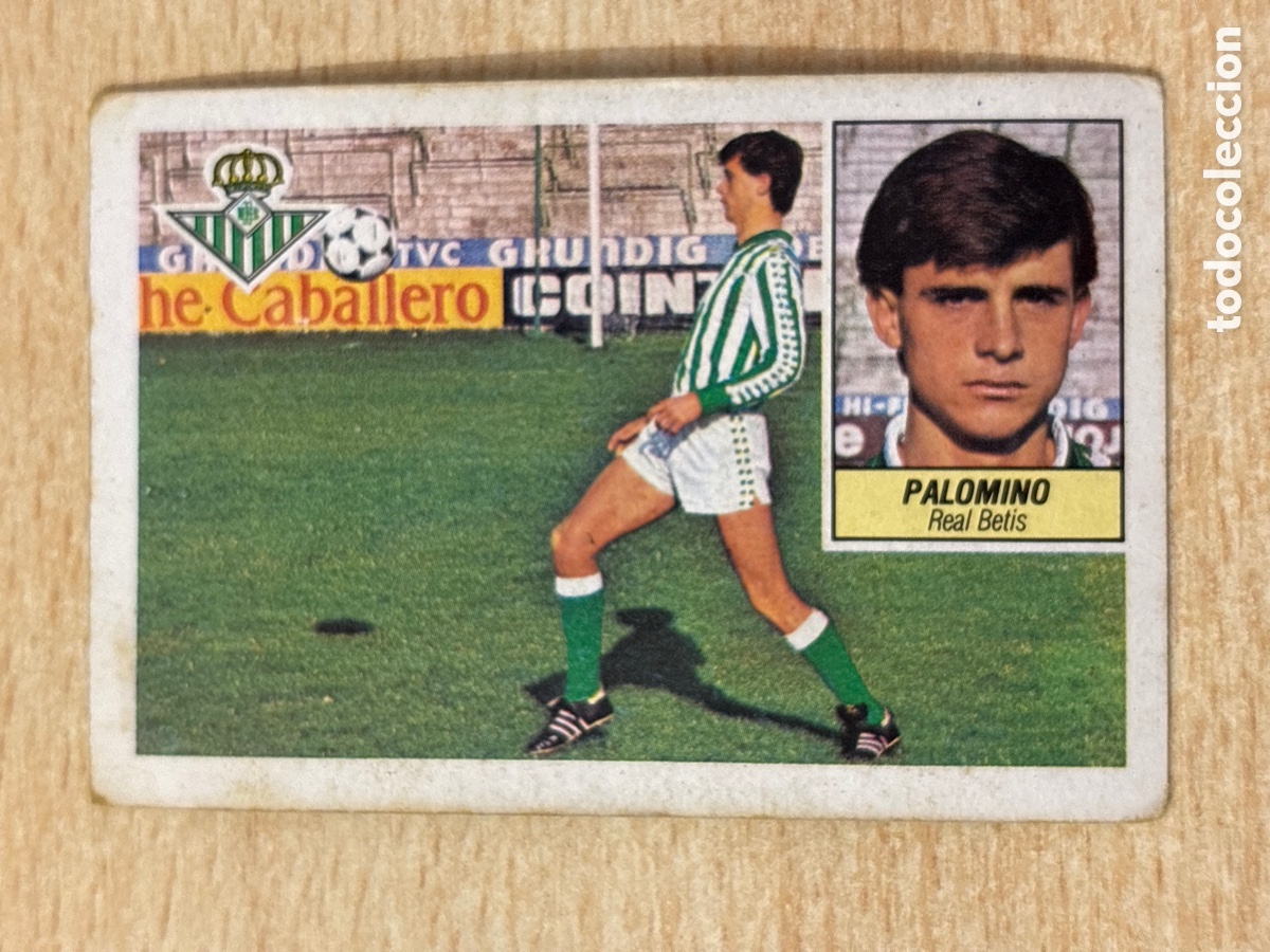Cromos de f&uacute;tbol: Palomino Fichaje 10 Real Betis Ed. Este 84-85 sin pegar