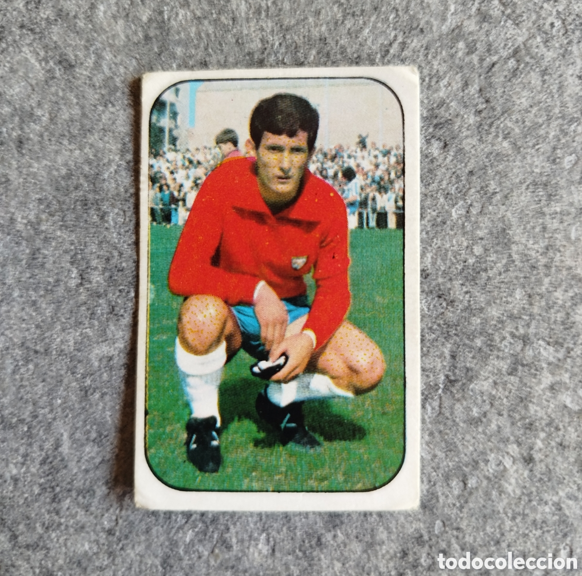 Fu&szlig;ball-Sticker: SIN PEGAR PALOMO MALAGA 76 77 1976 1977 EDICIONES ESTE CROMO NUEVO NUNCA PEGADO