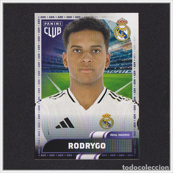 Cromos de f&uacute;tbol: PANINI CLUB 2024 2025 24 25 REAL MADRID RODRYGO 28 ALBUM LIGA COLECCI&Oacute;N OFICIAL F&Uacute;TBOL