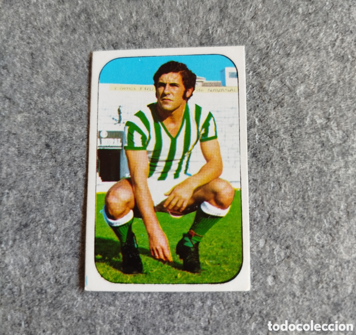 Cromos de f&uacute;tbol: SIN PEGAR BEN&Iacute;TEZ BETIS 76 77 1976 1977 EDICIONES ESTE CROMO NUEVO NUNCA PEGADO