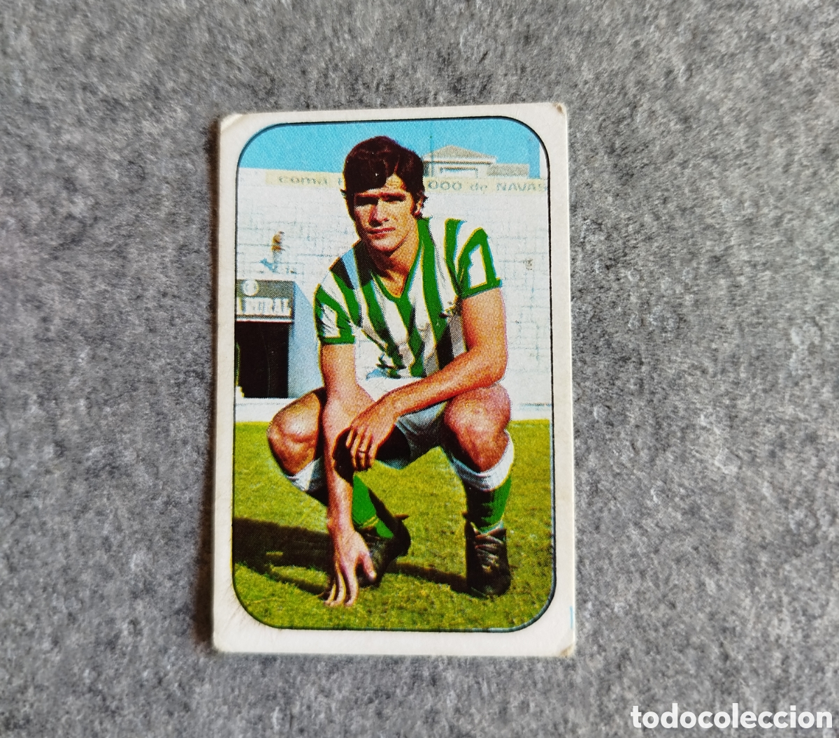 Cromos de f&uacute;tbol: SIN PEGAR BIOSCA BETIS 76 77 1976 1977 EDICIONES ESTE CROMO NUEVO NUNCA PEGADO