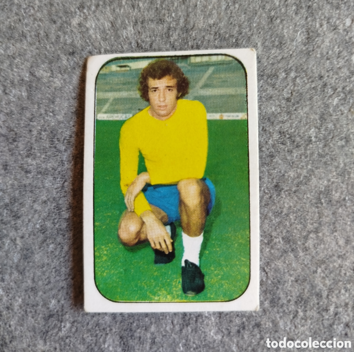 Cromos de f&uacute;tbol: SIN PEGAR WOLF LAS PALMAS 76 77 1976 1977 EDICIONES ESTE CROMO NUEVO NUNCA PEGADO