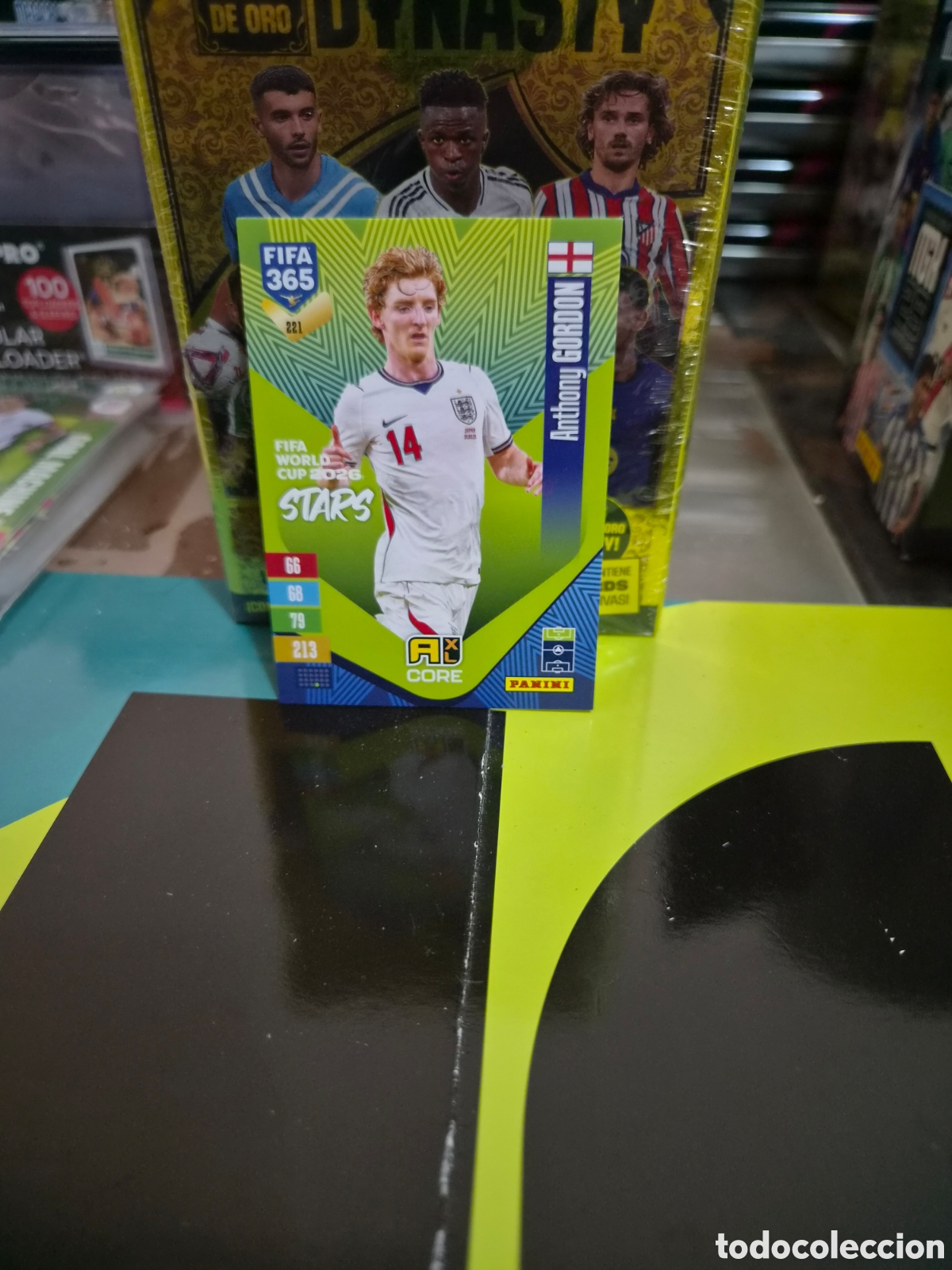 Cromos de f&uacute;tbol: N&deg;221 Antonhy Gordon FIFA 365 2027