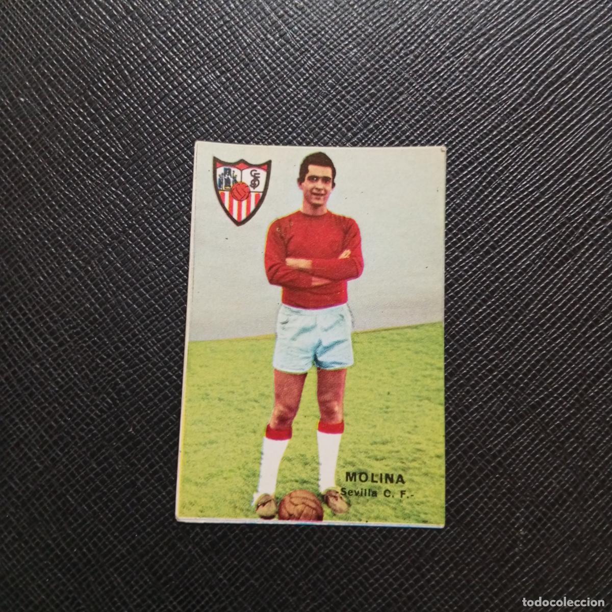 Cromos de Futebol: MOLINA SEVILLA FHER 1967 1968 CROMO FUTBOL 67 68 LIGA - SIN PEGAR - A99 PG17 B