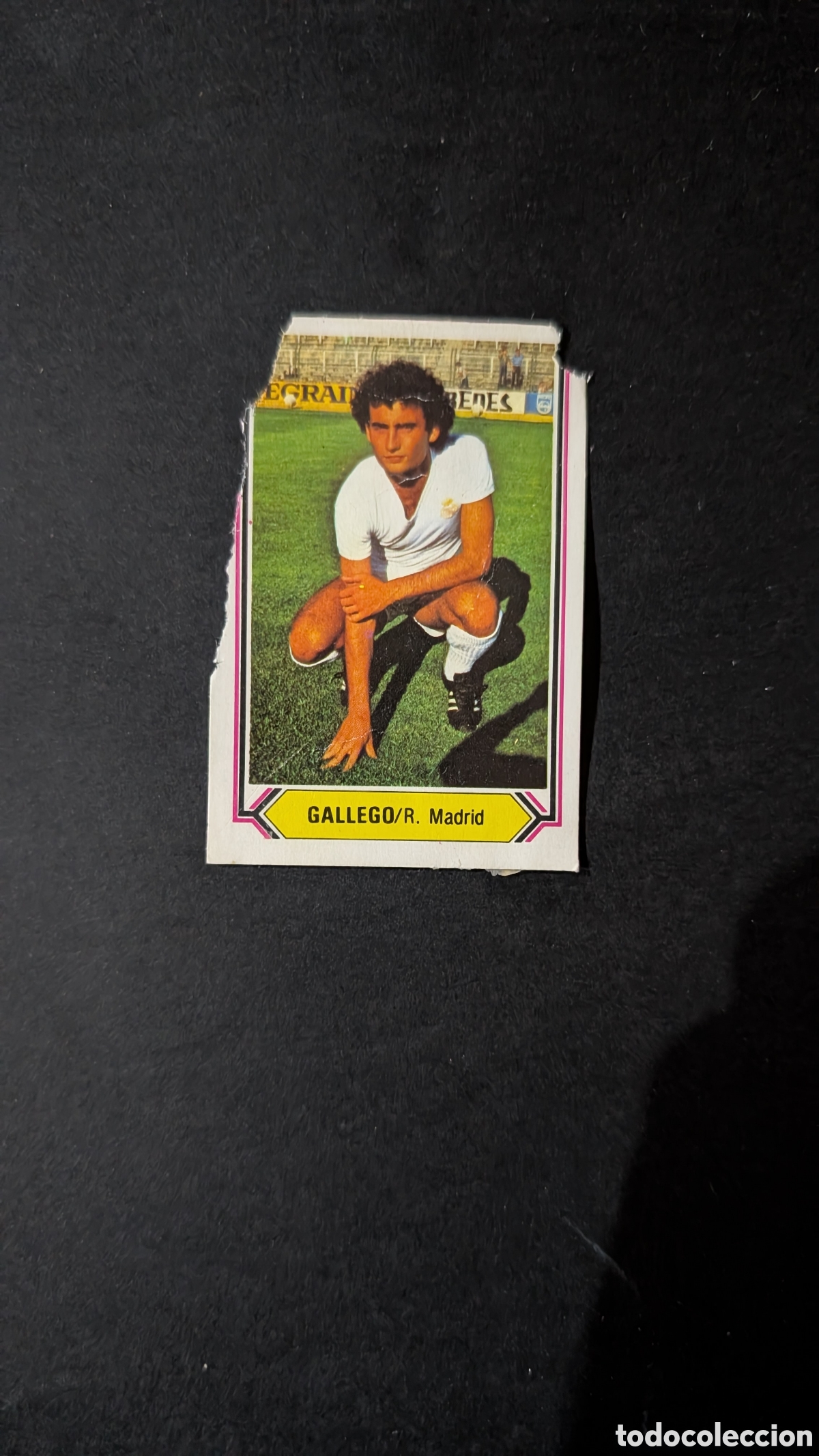 Cromos de f&uacute;tbol: GALLEGO REAL MADRID FICHAJE LIGA ESTE 1980/81 80 81 DESPEGADO