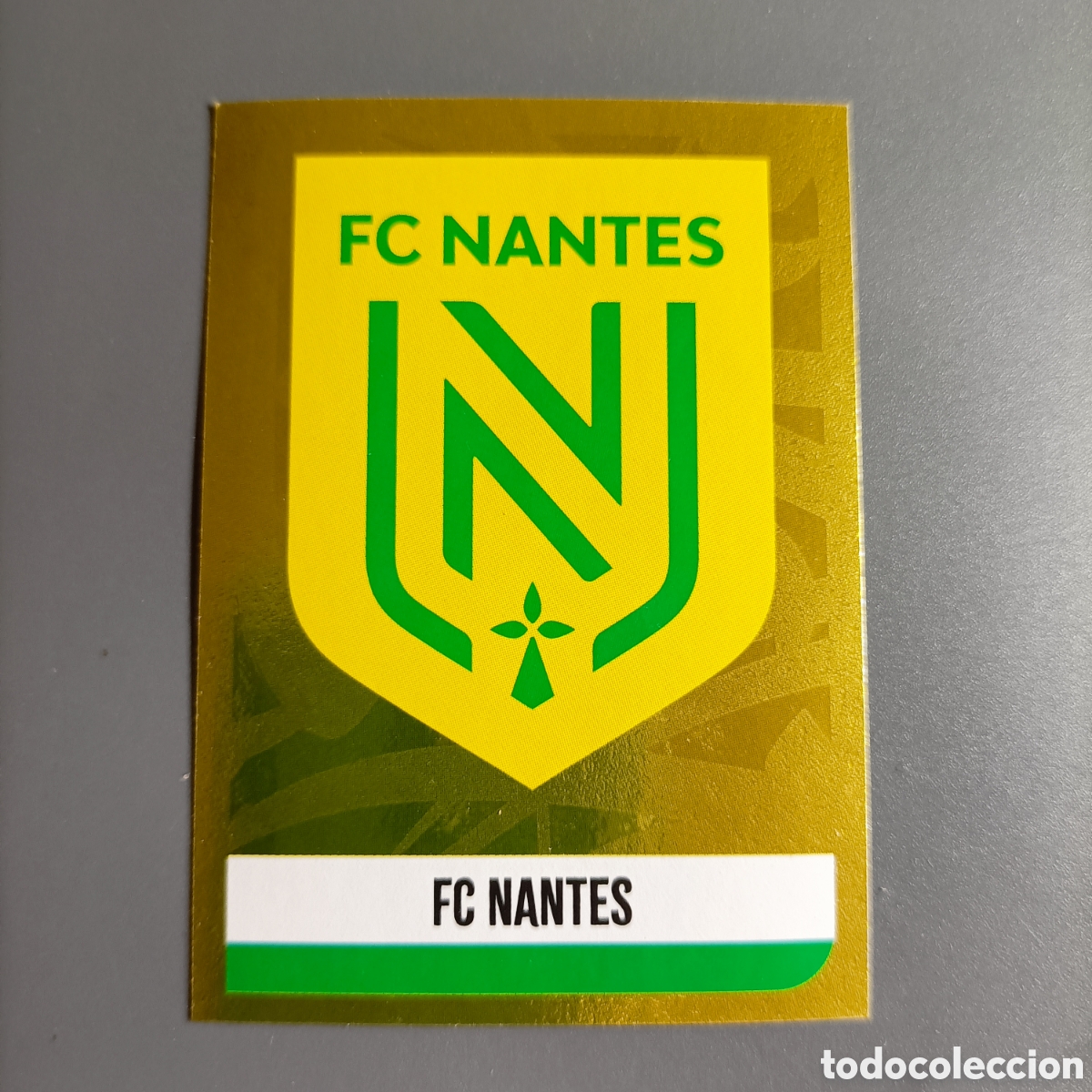 Cromos de f&uacute;tbol: Cromo Panini Foot 2021 - Championnat de France 2020-2021 (FC NANTES) №323 ESCUDO