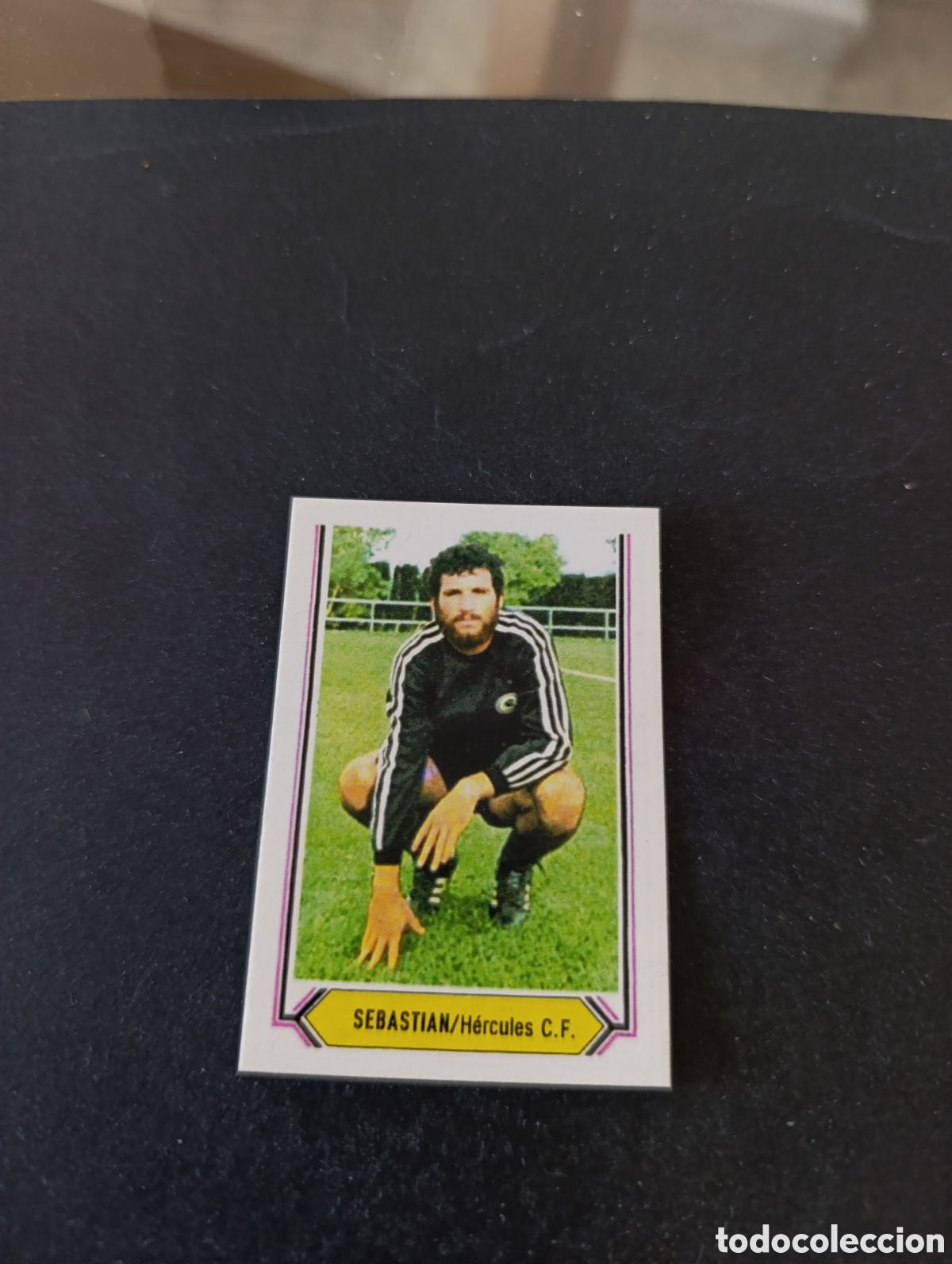 Cromos de f&uacute;tbol: Cromo Sebasti&aacute;n H&eacute;rcules Liga Este 80 81, ampliaci&oacute;n de la colecci&oacute;n.