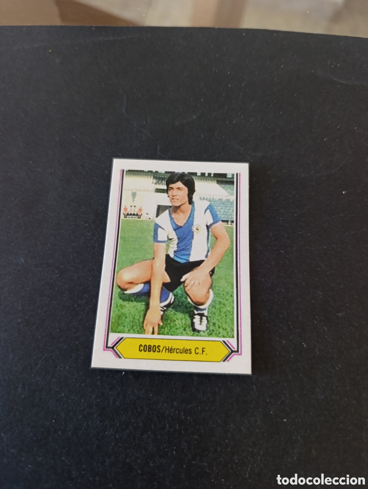 Cromos de f&uacute;tbol: Cromo Cobos H&eacute;rcules Liga Este 80 81, ampliaci&oacute;n de la colecci&oacute;n.