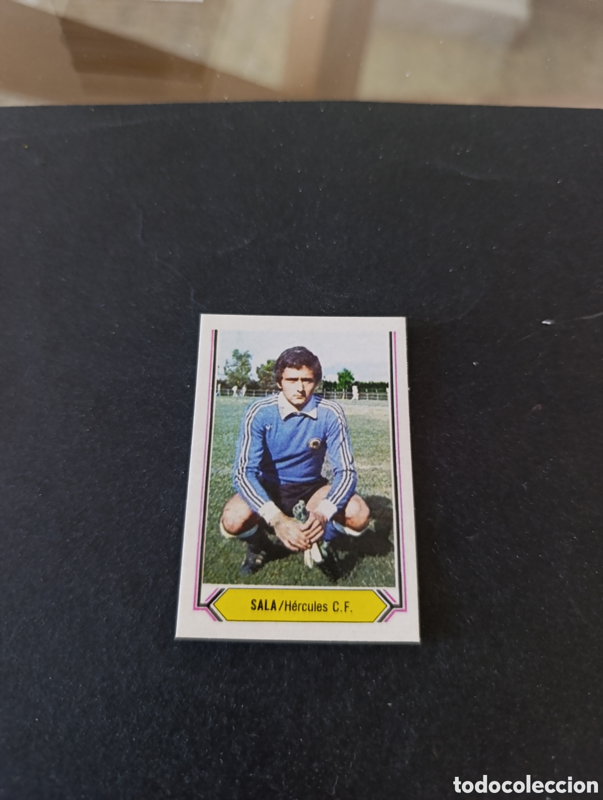 Cromos de f&uacute;tbol: Cromo Sala H&eacute;rcules Liga Este 80 81, ampliaci&oacute;n de la colecci&oacute;n.
