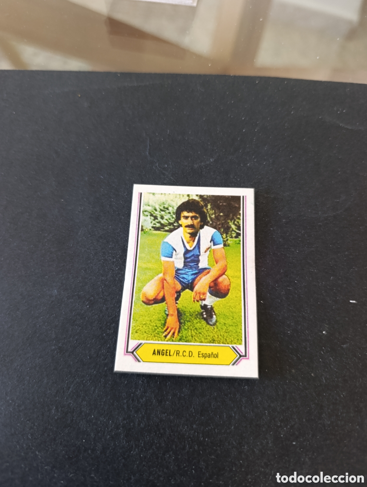 Cromos de f&uacute;tbol: Cromo &Aacute;ngel RCD Espa&ntilde;ol Liga Este 80 81, ampliaci&oacute;n de la colecci&oacute;n.