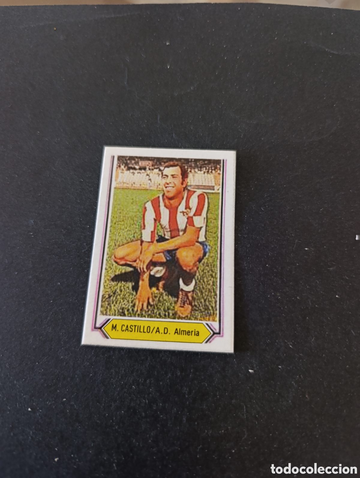 Cromos de f&uacute;tbol: Cromo M. Castillo Almer&iacute;a Liga Este 80 81, ampliaci&oacute;n de la colecci&oacute;n.