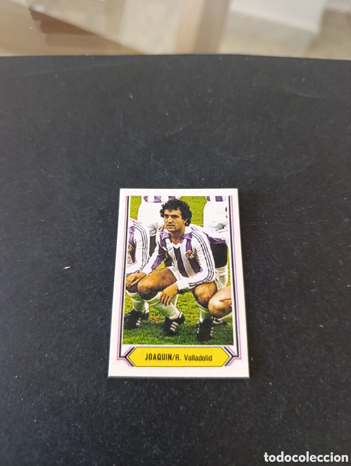 Cromos de f&uacute;tbol: Cromo Joaqu&iacute;n Valladolid Liga Este 80 81, ampliaci&oacute;n de la colecci&oacute;n.