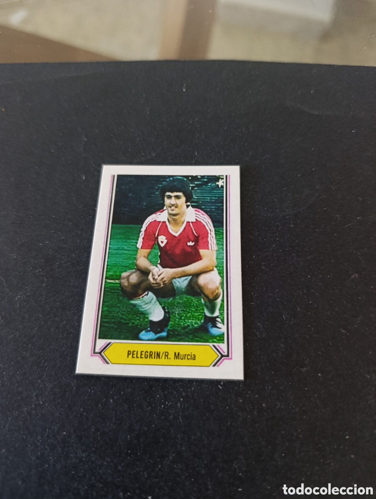 Cromos de f&uacute;tbol: Cromo Pelegrin Real Murcia Liga Este 80 81, ampliaci&oacute;n de la colecci&oacute;n.