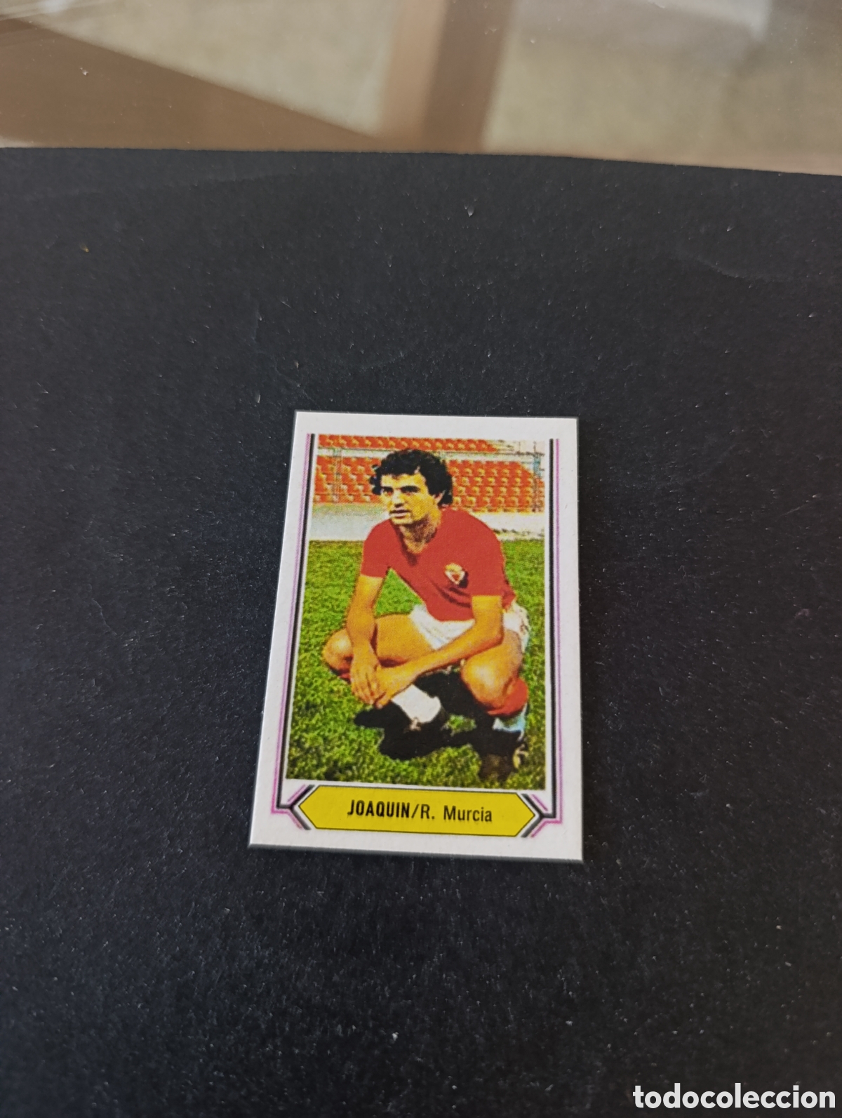 Cromos de f&uacute;tbol: Cromo Joaqu&iacute;n Real Murcia Liga Este 80 81, ampliaci&oacute;n de la colecci&oacute;n.