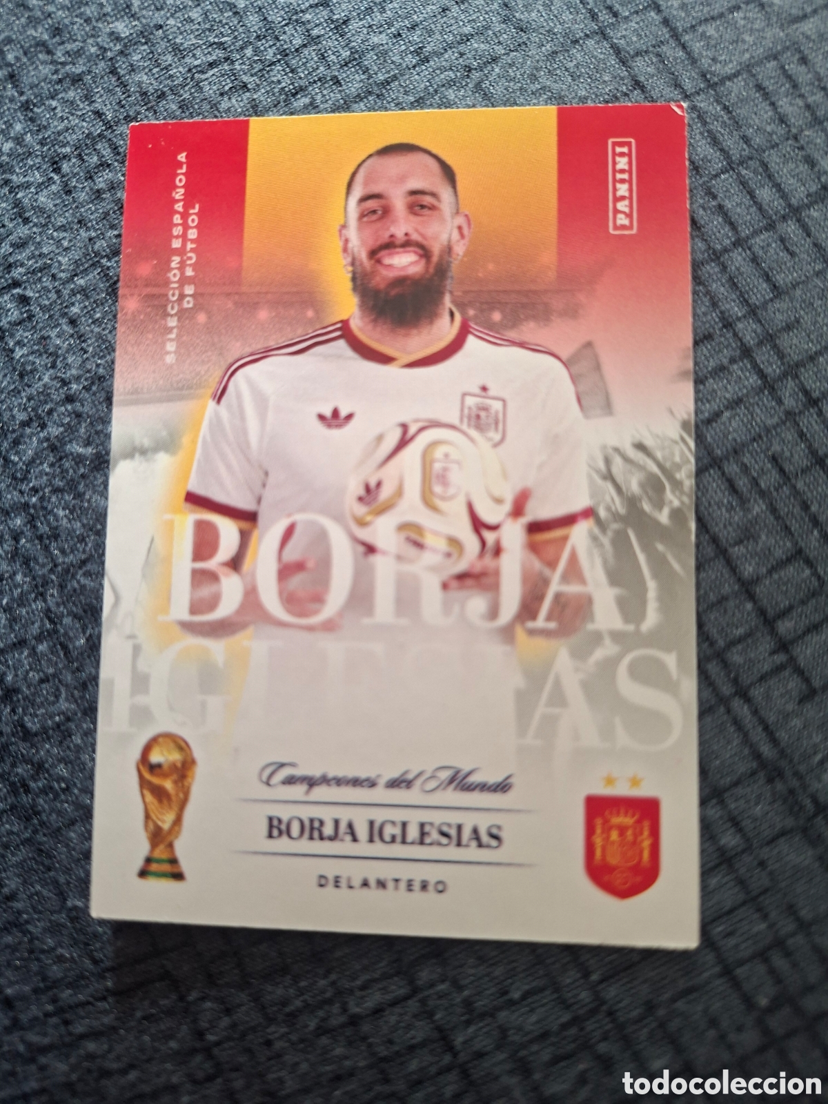 Cromos de f&uacute;tbol: Borja Iglesias - Pasi&oacute;n espa&ntilde;ola