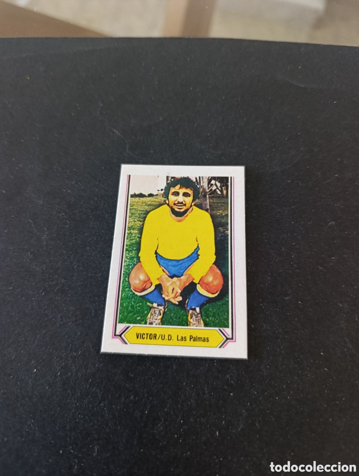 Cromos de f&uacute;tbol: Cromo V&iacute;ctor UD Las Palmas Liga Este 80 81, ampliaci&oacute;n de la colecci&oacute;n.