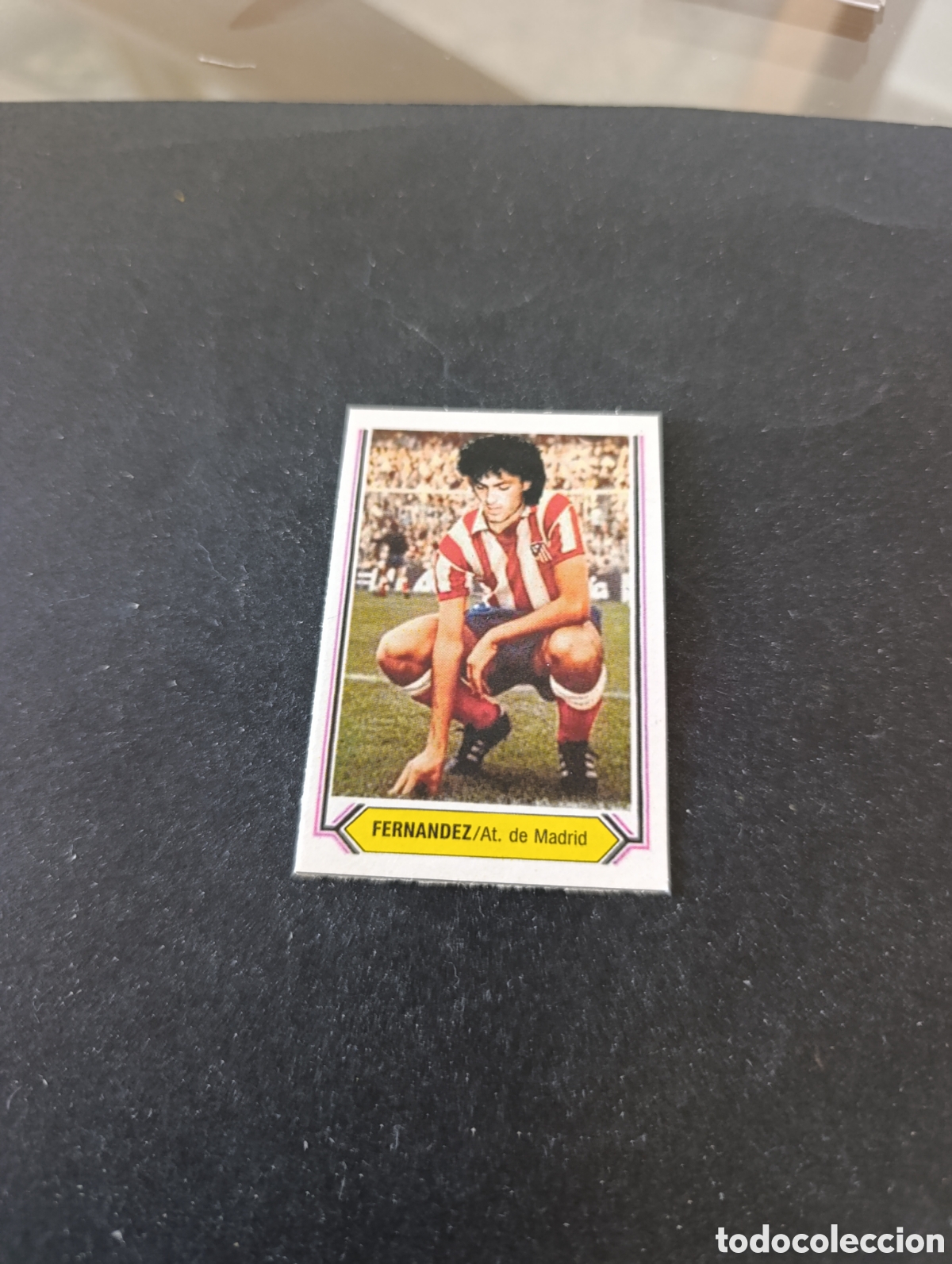 Cromos de f&uacute;tbol: Cromo Fern&aacute;ndez Atl&eacute;tico Madrid Liga Este 80 81, ampliaci&oacute;n de la colecci&oacute;n.