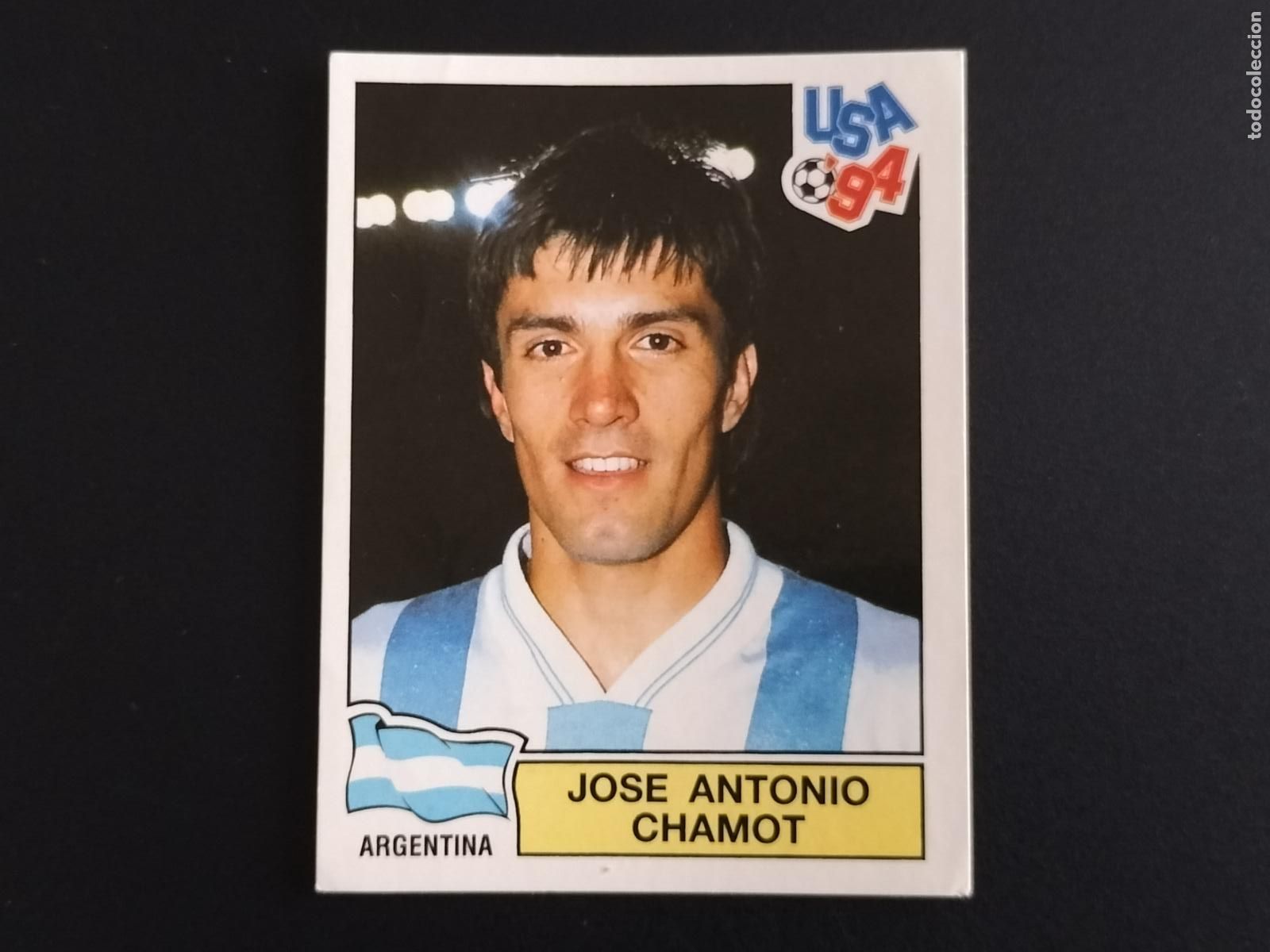 Cromos de f&uacute;tbol: 246 JOSE ANTONIO CHAMOT ARGENTINA CROMOS WORLD CUP MUNDIAL FUTBOL USA 94 U.S.A. 1994