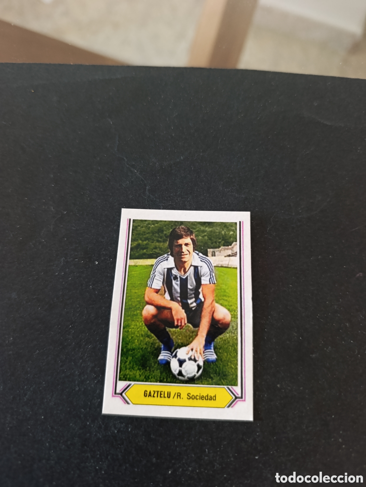 Cromos de f&uacute;tbol: Cromo Gaztelu Real Sociedad Liga Este 80 81, ampliaci&oacute;n de la colecci&oacute;n.