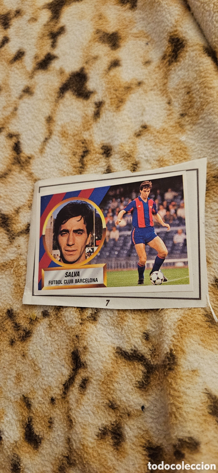 Cromos de f&uacute;tbol: Salva Barcelona este 1988 1989 88 89 recortado