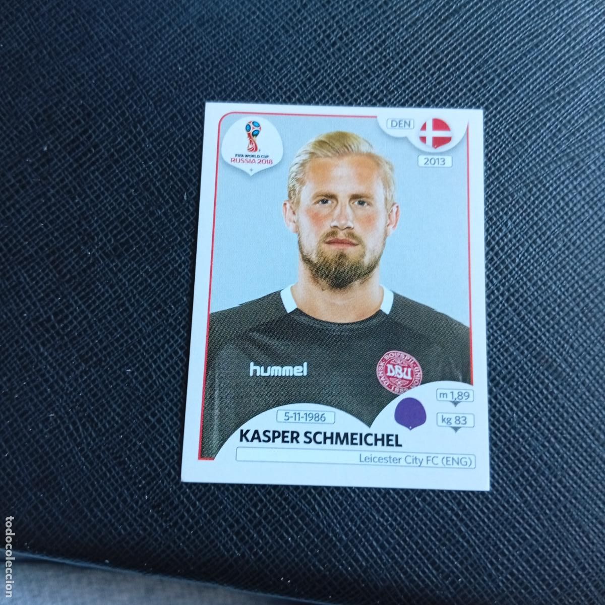 Cromos de f&uacute;tbol: 254 KASPER SCHMEICHEL DINAMARCA PANINI MUNDIAL RUSIA 2018 CROMO FUTBOL 18 - SIN PEGAR - /CJ2