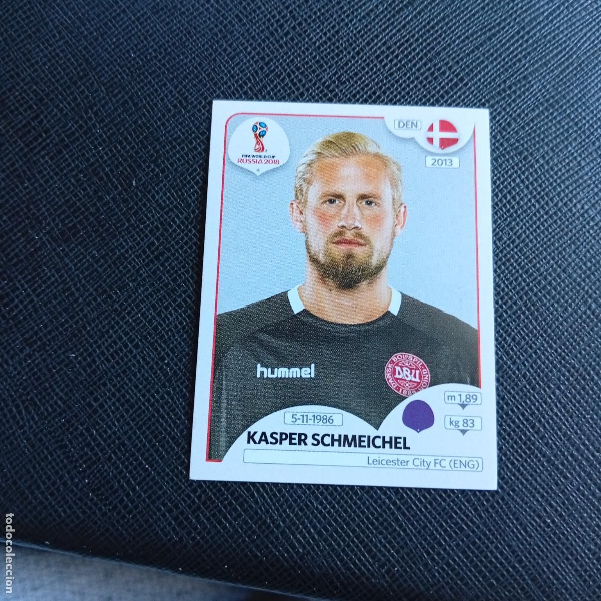 Cromos de f&uacute;tbol: 254 KASPER SCHMEICHEL DINAMARCA PANINI MUNDIAL RUSIA 2018 CROMO FUTBOL 18 - SIN PEGAR - /CJ2