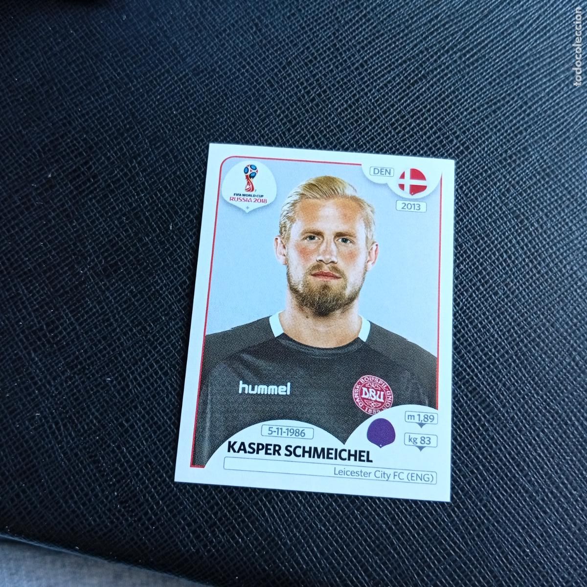 Cromos de f&uacute;tbol: 254 KASPER SCHMEICHEL DINAMARCA PANINI MUNDIAL RUSIA 2018 CROMO FUTBOL 18 - SIN PEGAR - /CJ2 ...