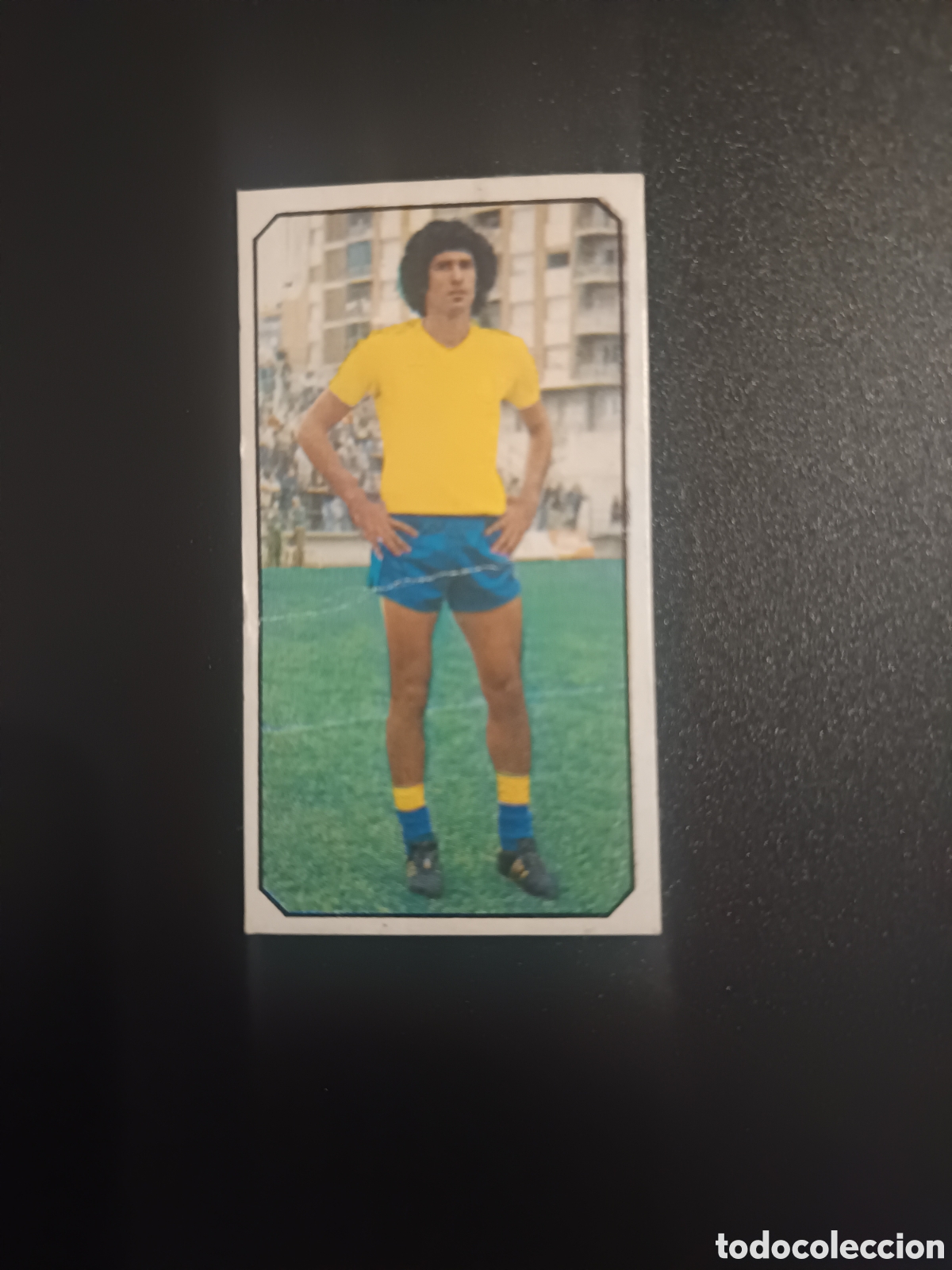 Cromos de f&uacute;tbol: CROMO MACIEL COLOCA ED ESTE LIGA 77 78 1977 1978
