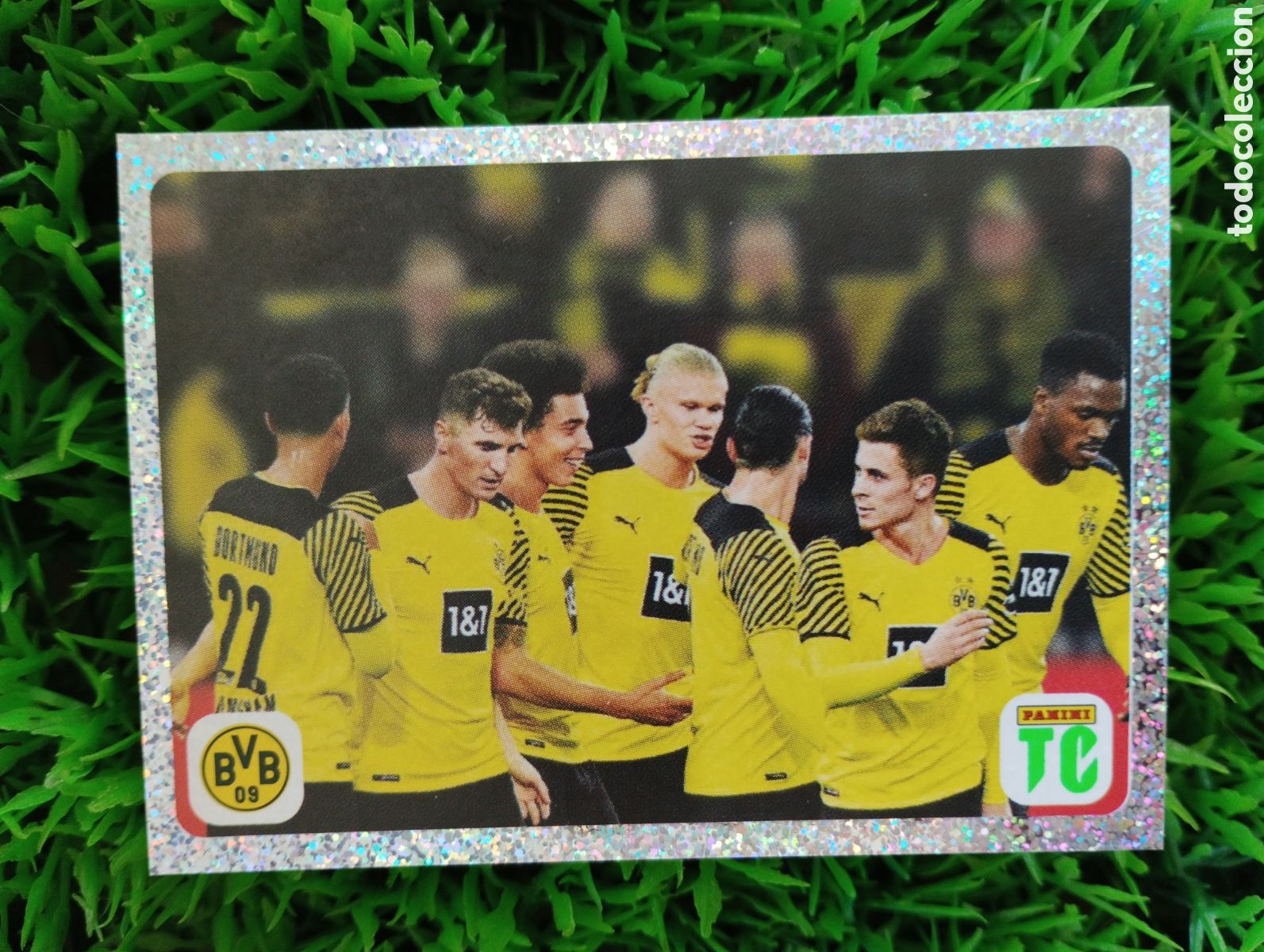 Cromos de f&uacute;tbol: Haaland Borussia Dortmund Top Class 2022 Stickers # 13 NUNCA PEGADO