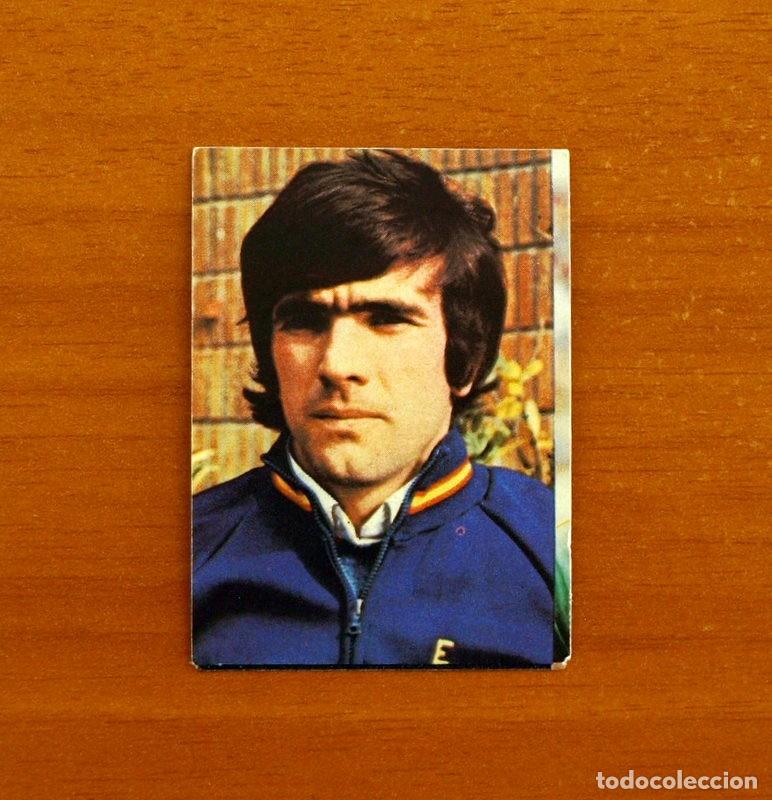 Cromos de f&uacute;tbol: Espa&ntilde;a - 215 Dani - Argentina 78 - Edt. Ruiz Romero 1978 - Nunca pegado