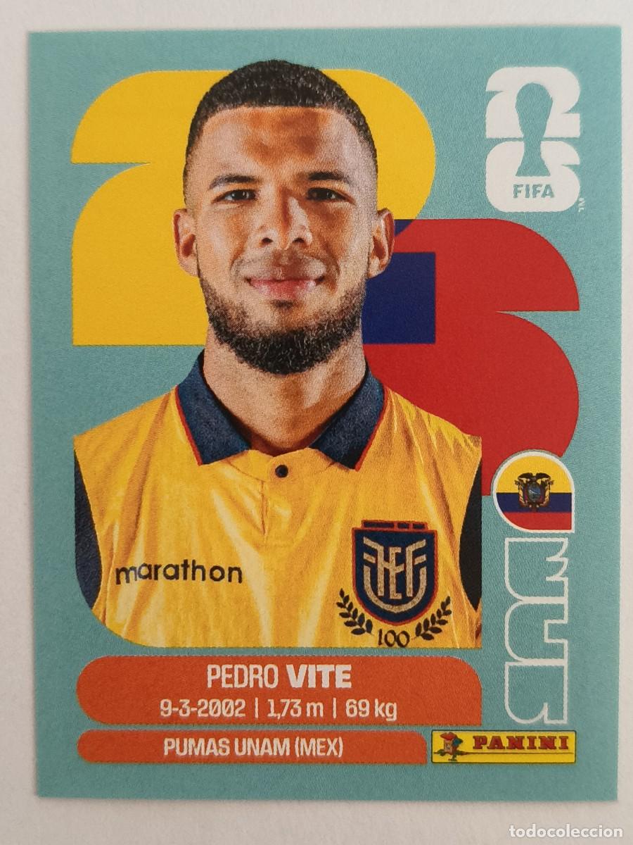 Cromos de f&uacute;tbol: #ECU 12 VITE (ECUADOR) MUNDIAL 2026 PANINI